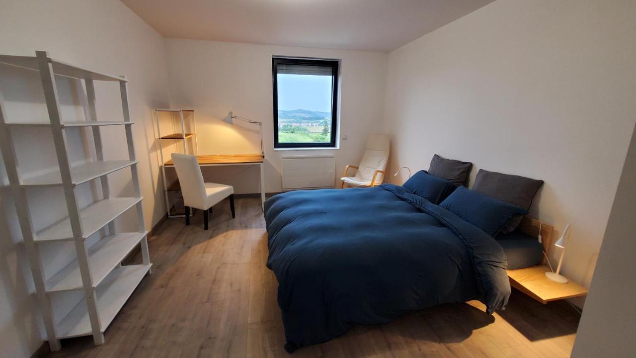 L'Ecrin De Saint Genest Lerpt - Belle Vue Et Calme Apartment Exterior foto